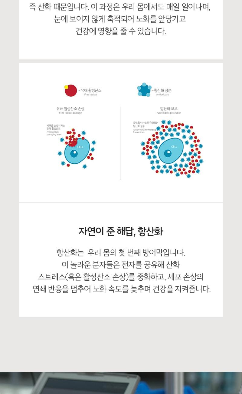 활성산소 vs 항산화 세포 보호 다이어그램